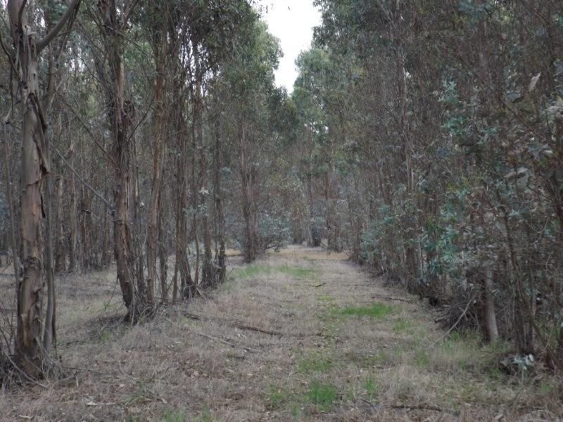 Lot 1 Muir Road, Mayanup WA 6244