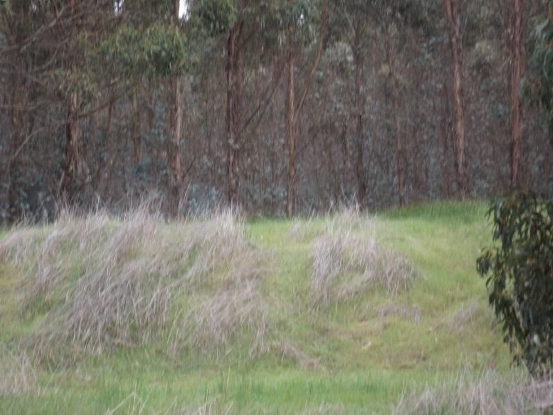 Lot 1 Muir Road, Mayanup WA 6244