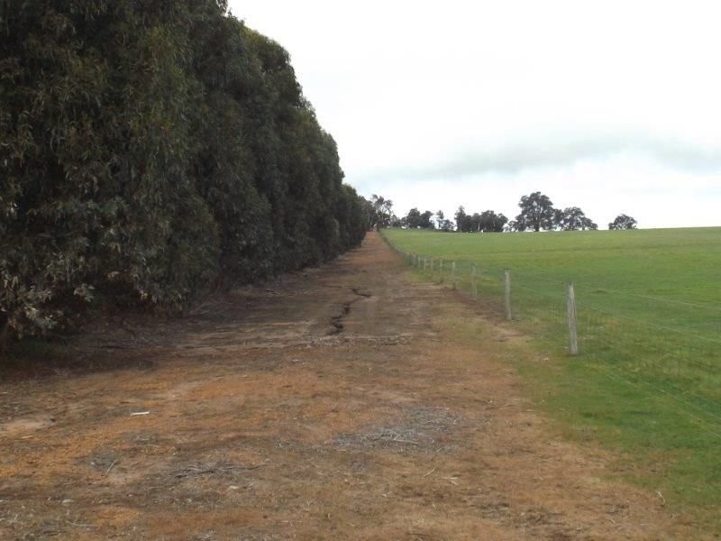 Lot 1 Muir Road, Mayanup WA 6244