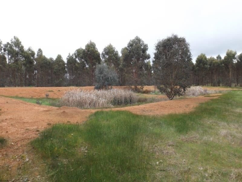 Lot 1 Muir Road, Mayanup WA 6244