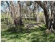 212 Ridgeview Avenue, Boyup Brook WA 6244