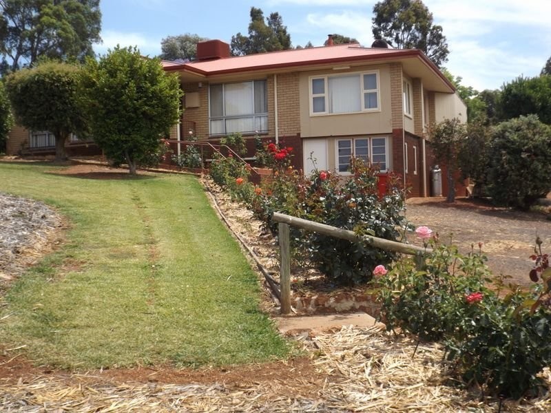 14 Scott Street, Bridgetown WA 6255