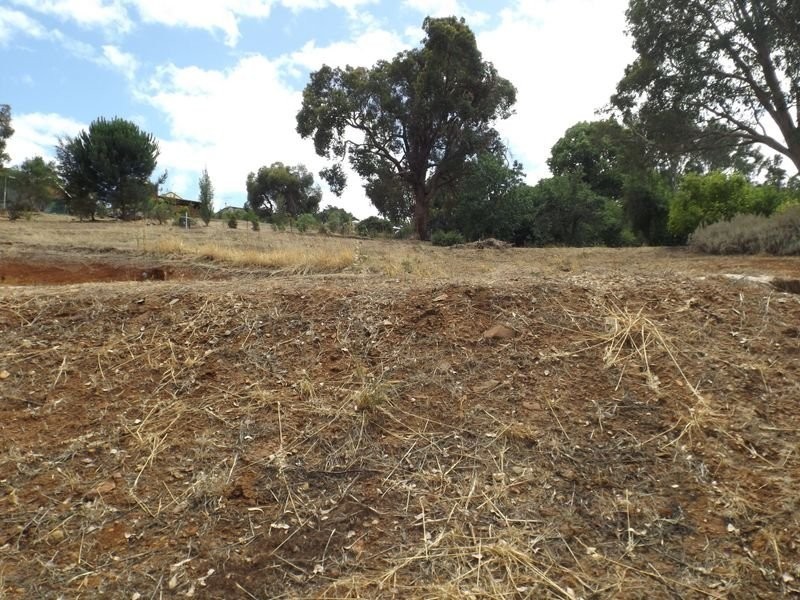 Lot 2 Railway Terrace, Bridgetown WA 6255