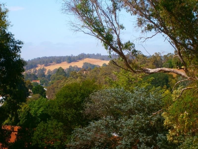 Lot 100 Railway Terrace, Bridgetown WA 6255