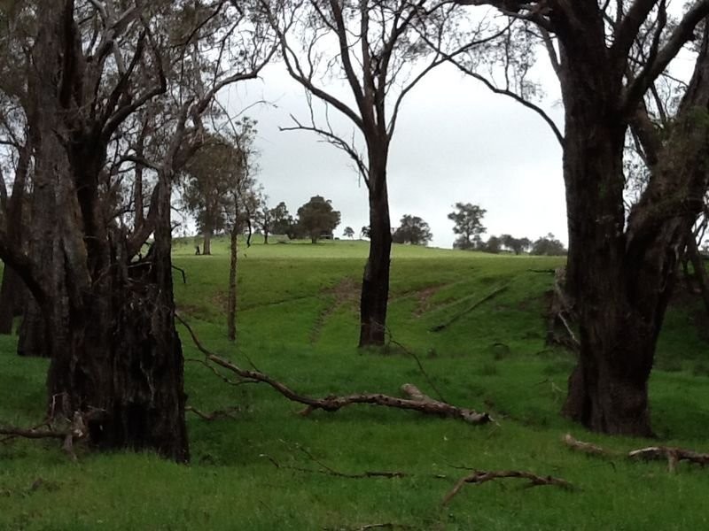 Lot 8 Winnejup Road, Mayanup WA 6244