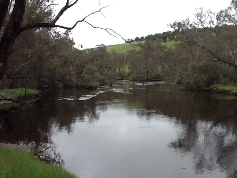 Lot 8 Winnejup Road, Mayanup WA 6244