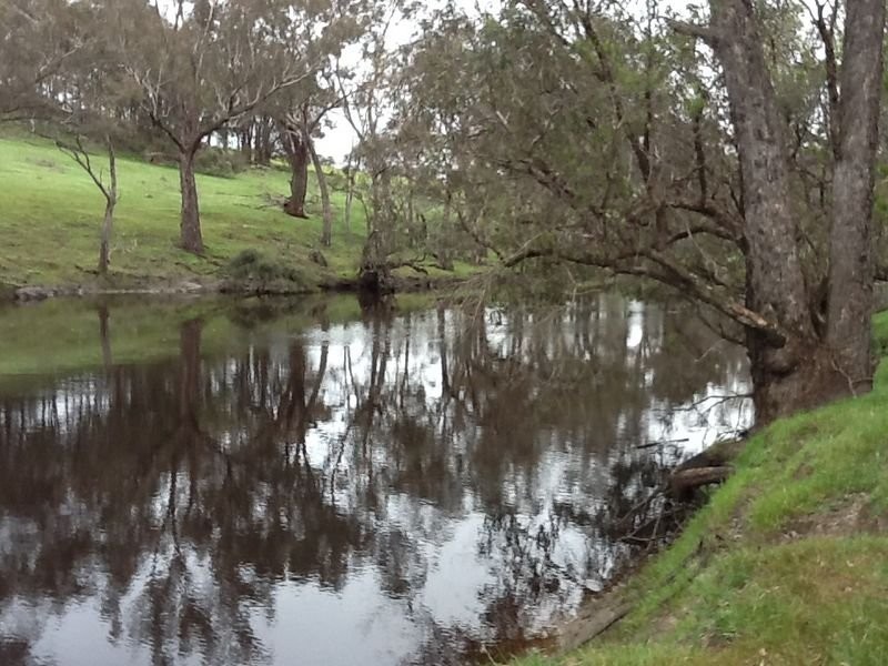 Lot 8 Winnejup Road, Mayanup WA 6244