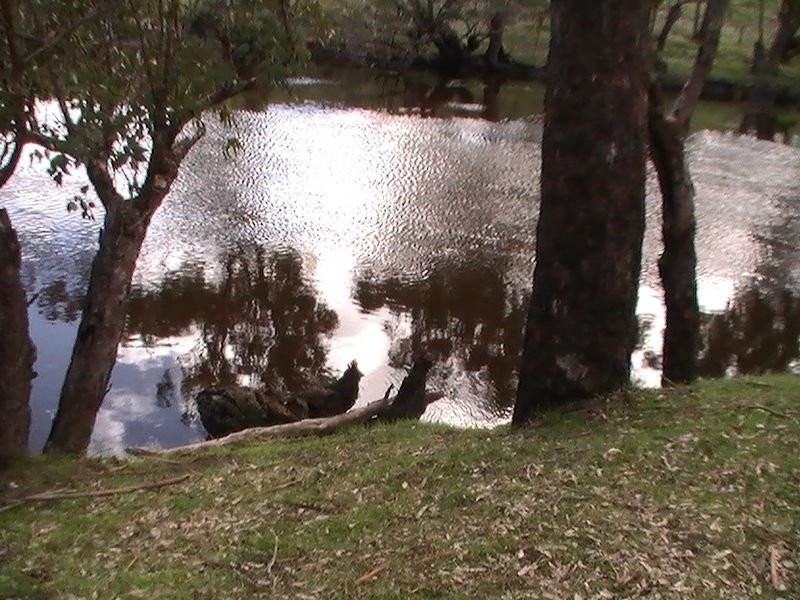 Lot 8 Winnejup Road, Mayanup WA 6244