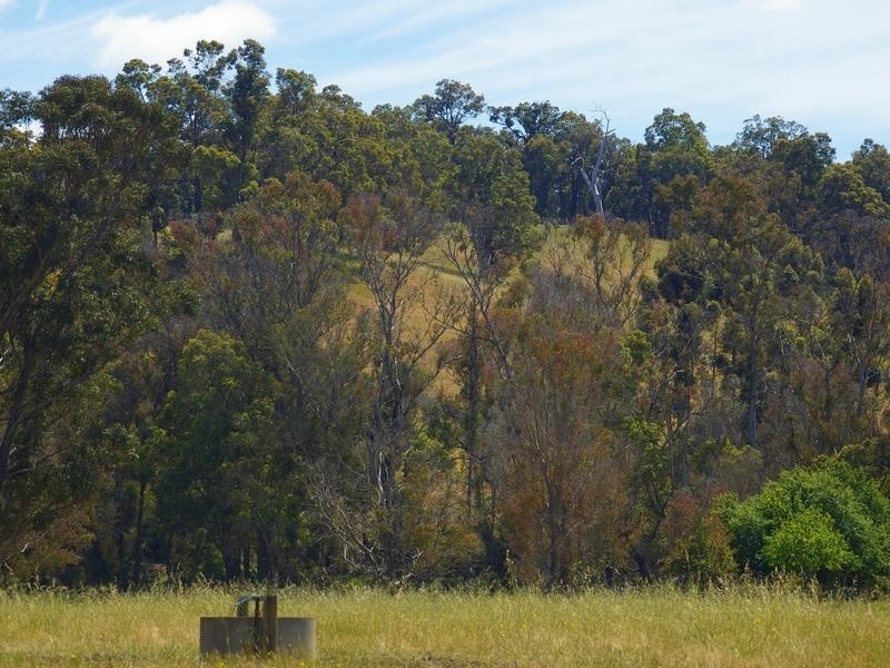 98 East Nannup Road, Nannup WA 6275