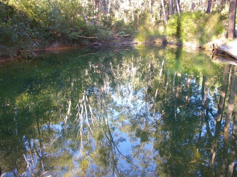 11189 Mount Lewin Loop Road, Nannup WA 6275