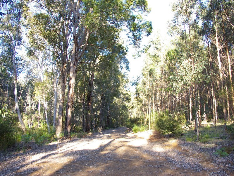 11189 Mount Lewin Loop Road, Nannup WA 6275