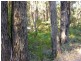 11189 Mount Lewin Loop Road, Nannup WA 6275