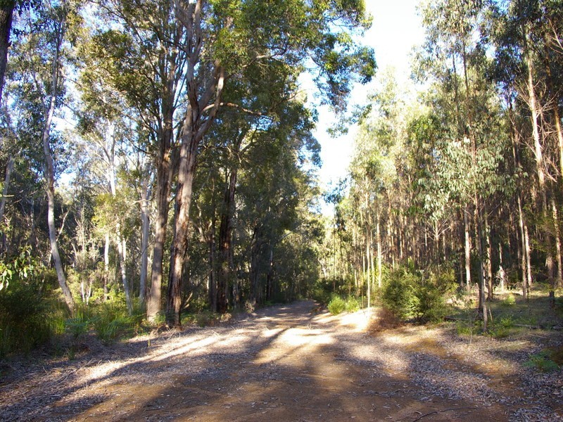 11189 Mount Lewin Loop Road, Nannup WA 6275