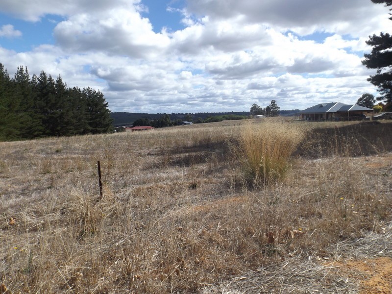 4 Murray Grey Court, Bridgetown WA 6255