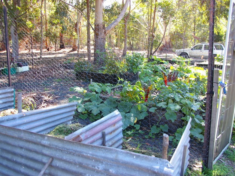 12 Dean Road, Nannup WA 6275