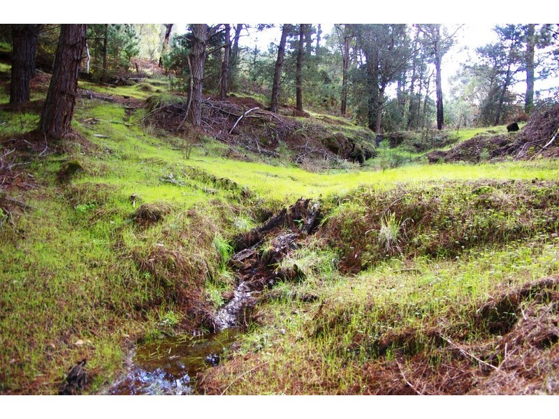 927/ King Road, Southampton WA 6253