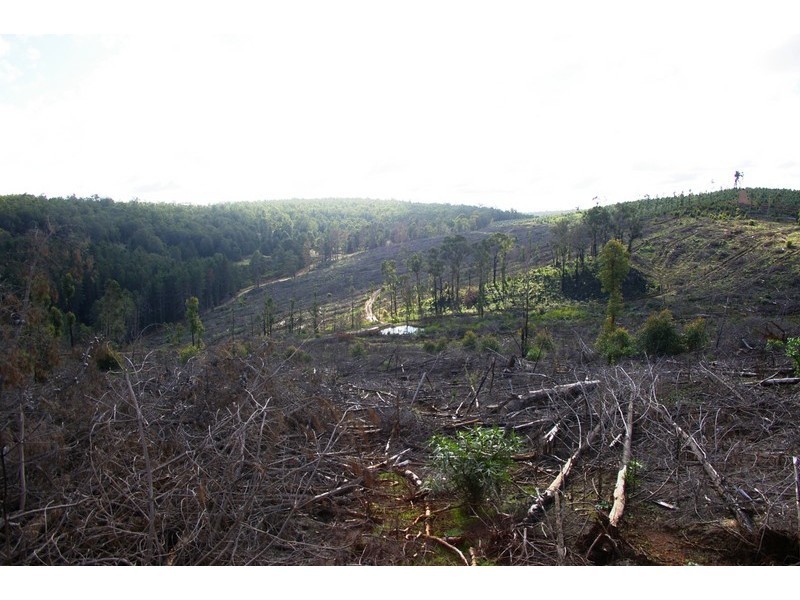 927/ King Road, Southampton WA 6253