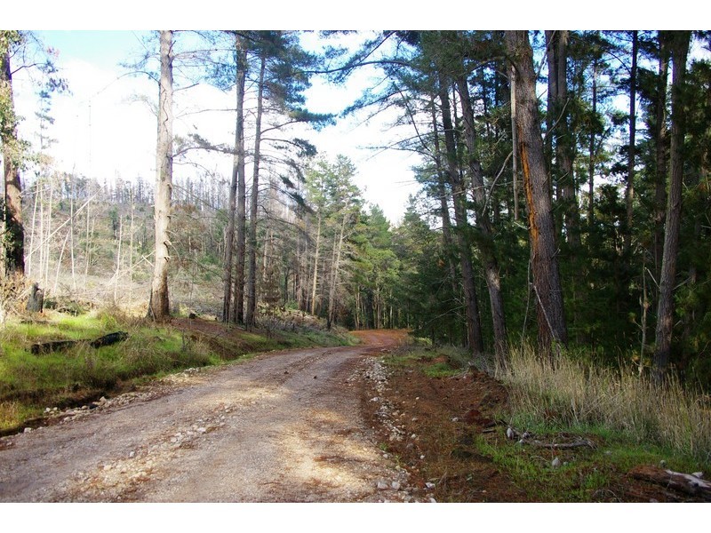 927/ King Road, Southampton WA 6253