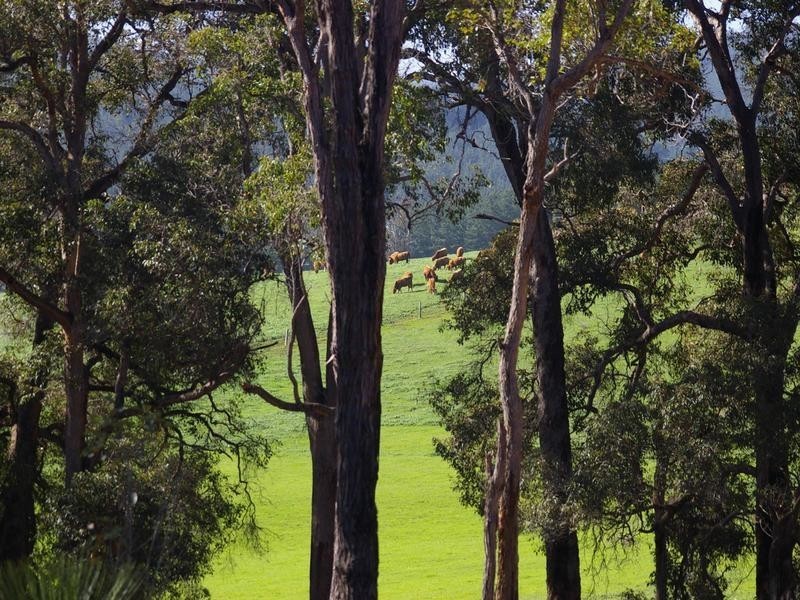 702 Widdeson Street, Nannup WA 6275