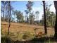 702 Widdeson Street, Nannup WA 6275