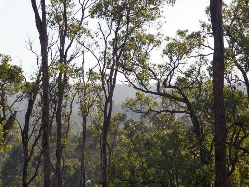 702 Widdeson Street, Nannup WA 6275
