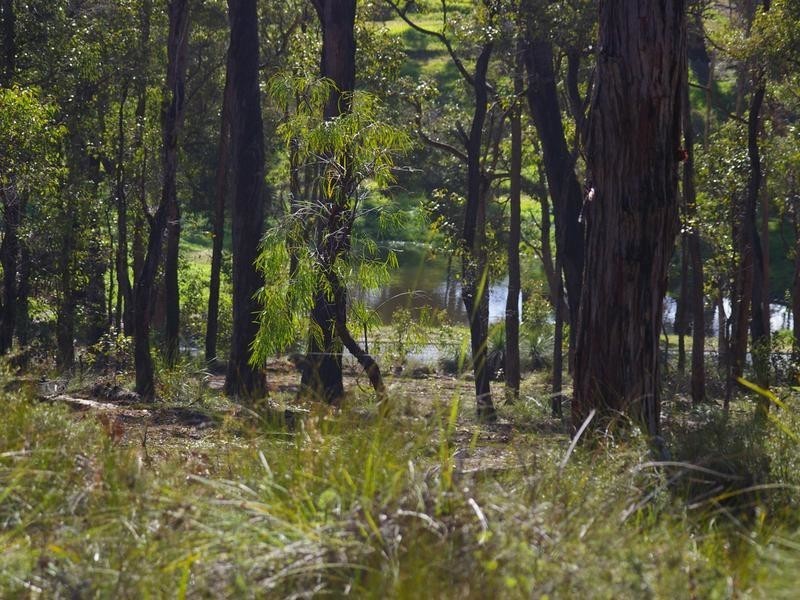 702 Widdeson Street, Nannup WA 6275