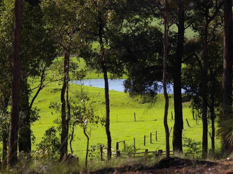 702 Widdeson Street, Nannup WA 6275