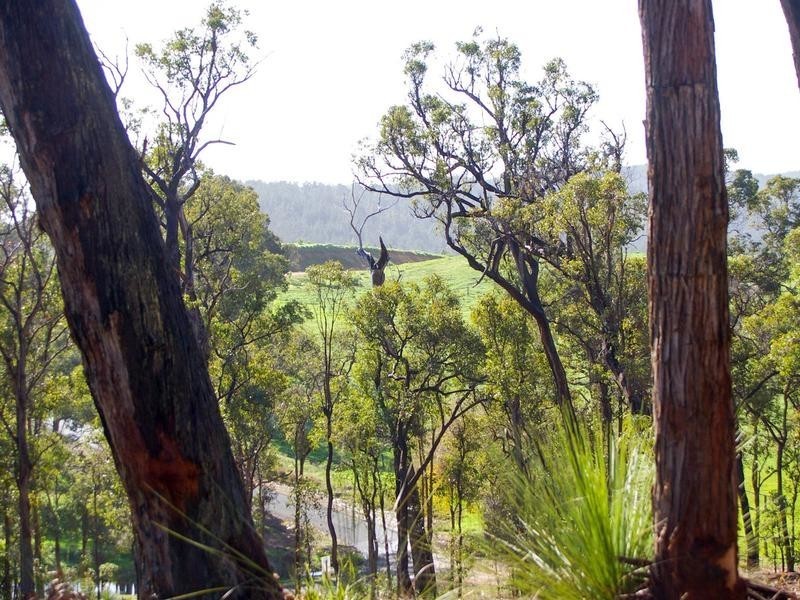 702 Widdeson Street, Nannup WA 6275