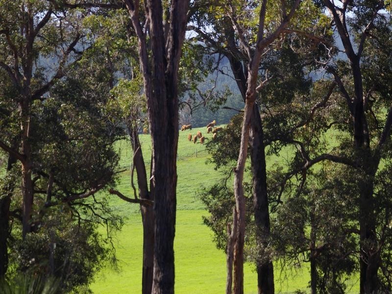 702 Widdeson Street, Nannup WA 6275