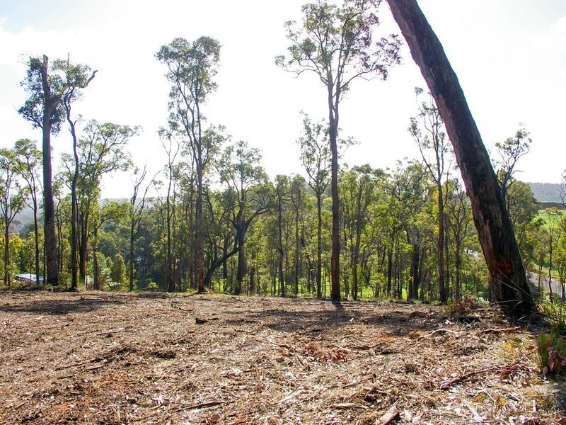 702 Widdeson Street, Nannup WA 6275