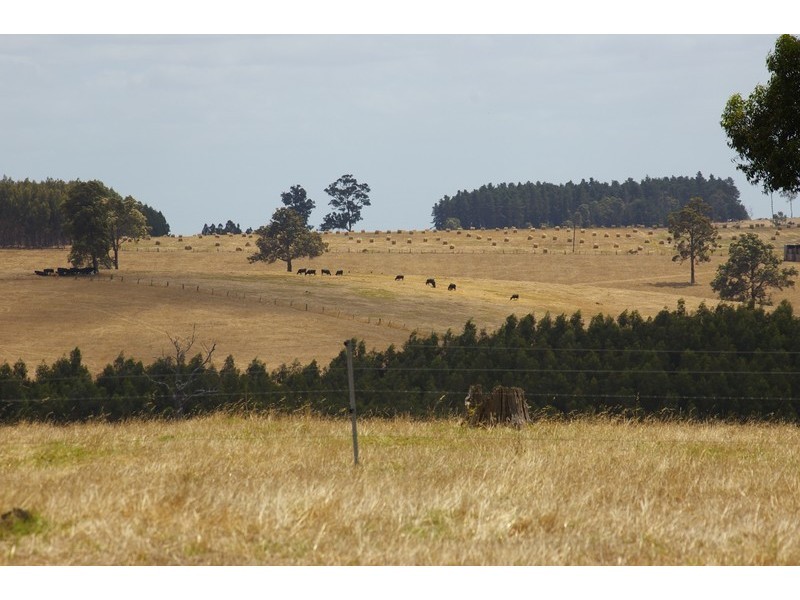 32 Tower Road, Nannup WA 6275