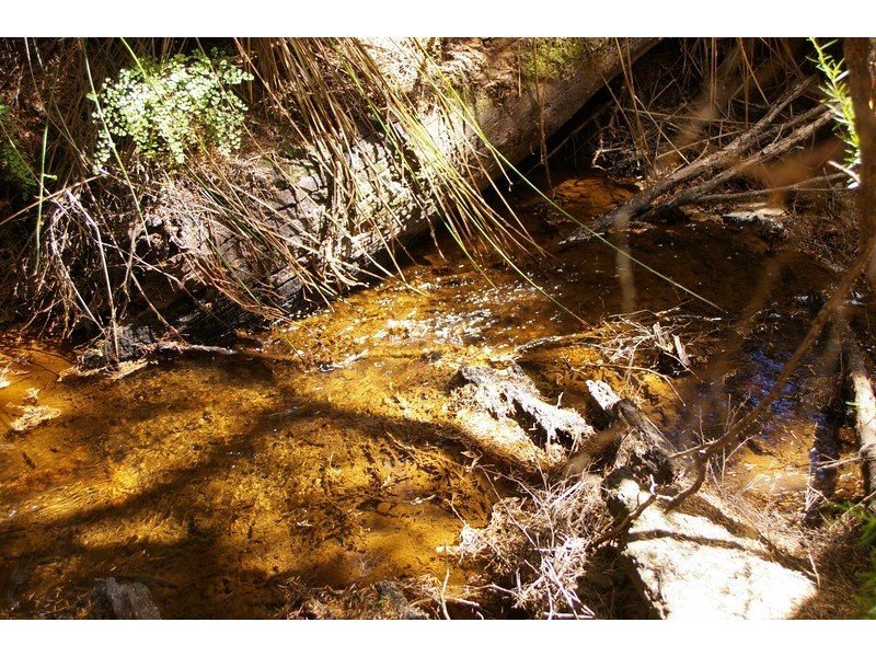 32 Tower Road, Nannup WA 6275