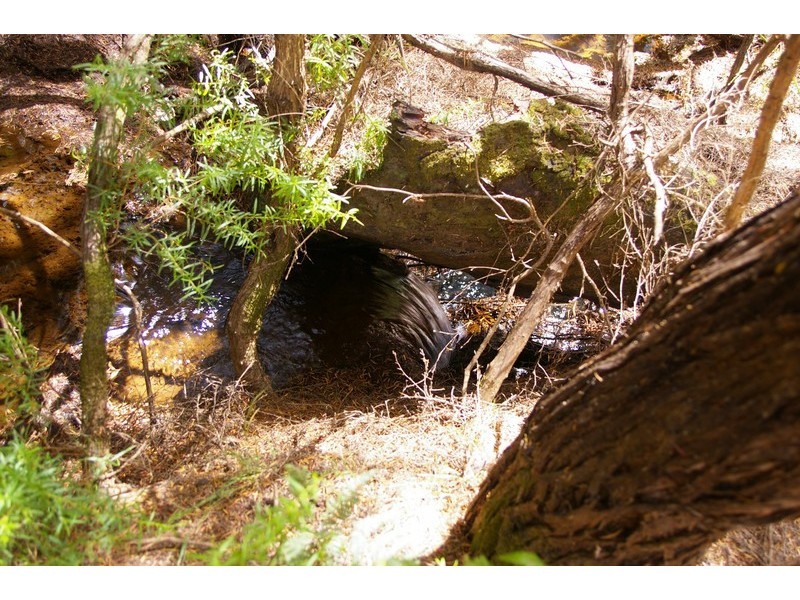 32 Tower Road, Nannup WA 6275