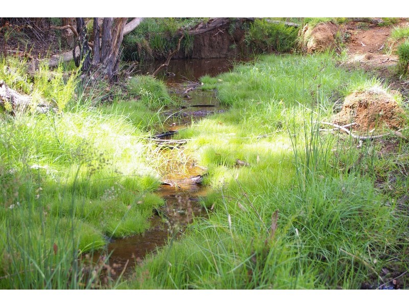 32 Tower Road, Nannup WA 6275