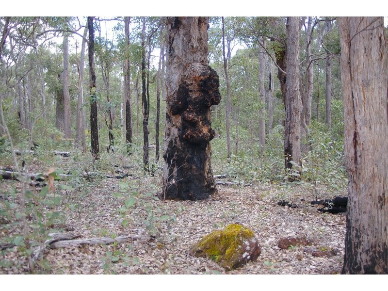 10 Johnston Road, Nannup WA 6275