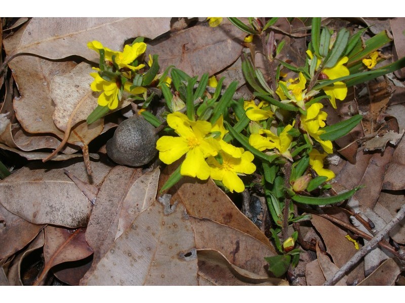 10 Johnston Road, Nannup WA 6275