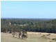 11211 Graphite Road, Nannup WA 6275
