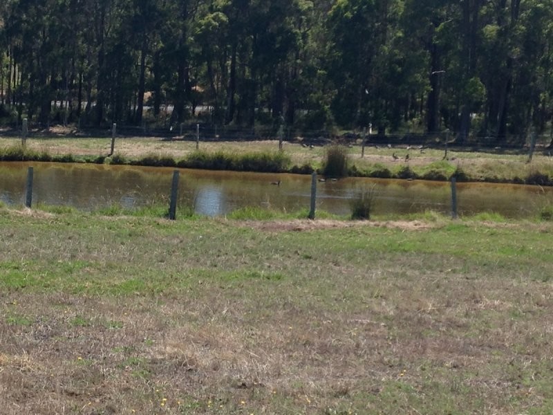 11211 Graphite Road, Nannup WA 6275