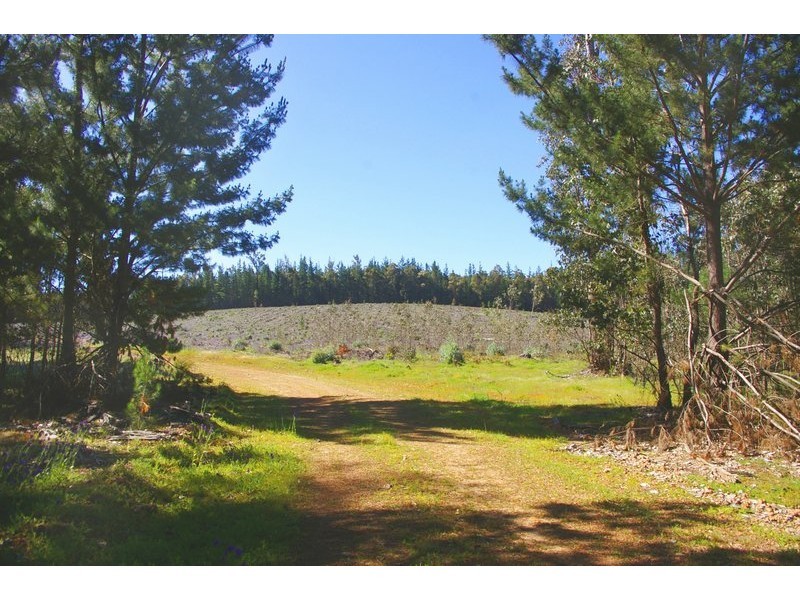2347 on DP129314/ via Walker Road, Noggerup WA 6225