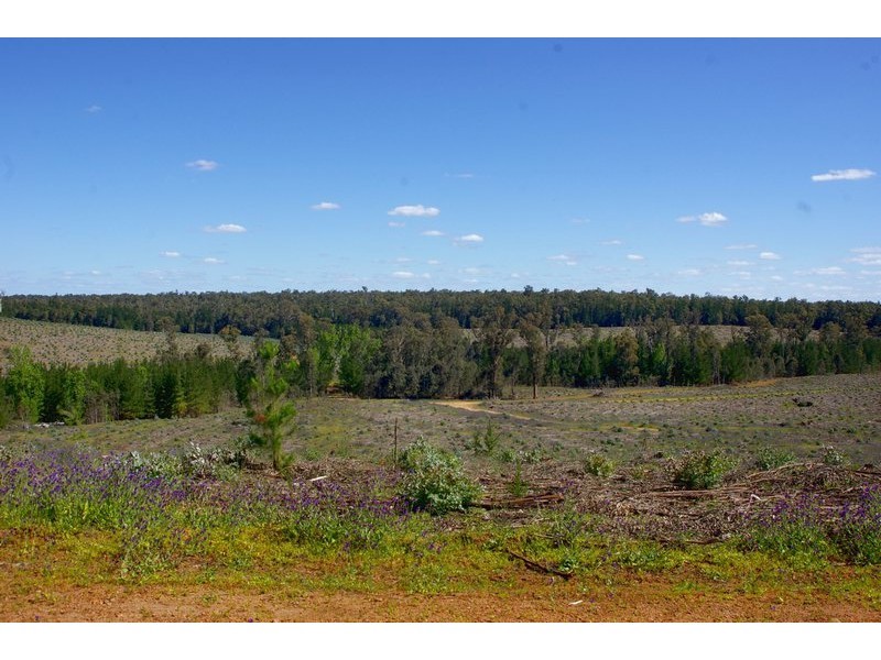 2347 on DP129314/ via Walker Road, Noggerup WA 6225
