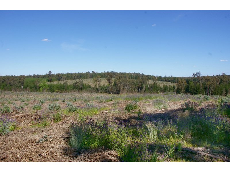 2347 on DP129314/ via Walker Road, Noggerup WA 6225