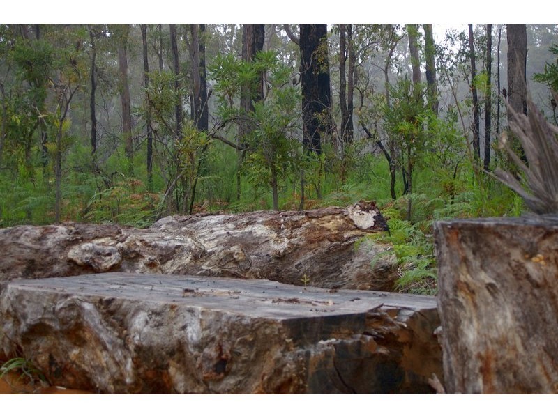 13 Orchid Place, Nannup WA 6275