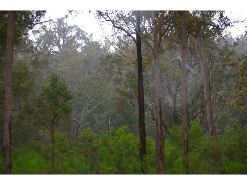 13 Orchid Place, Nannup WA 6275