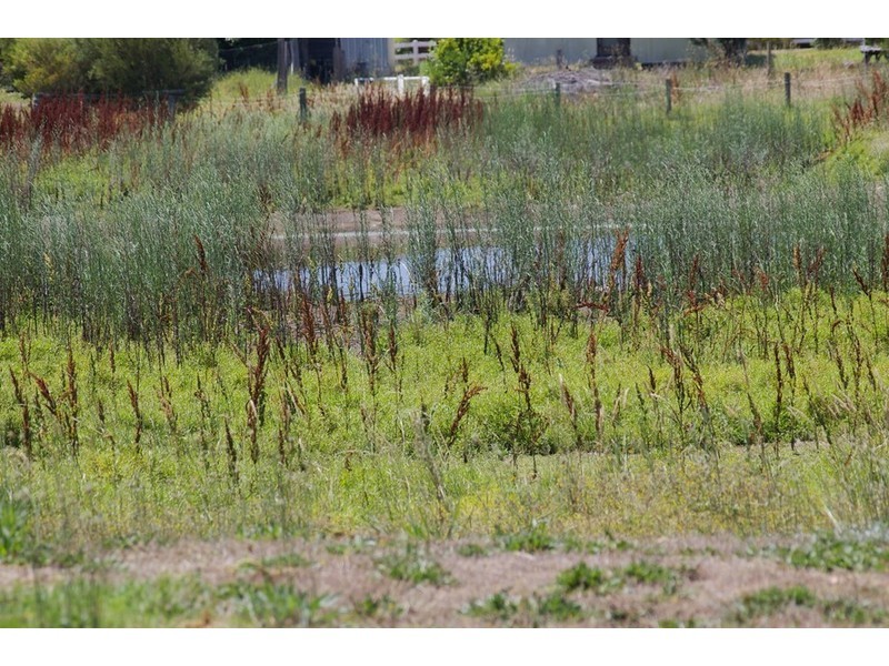 700 Higgins Street, Nannup WA 6275