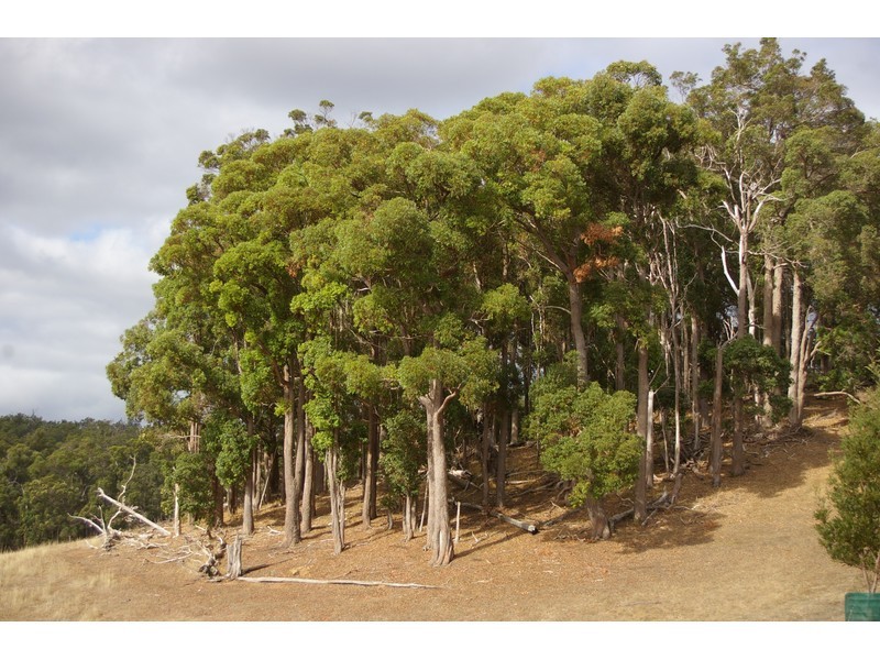 3 Halley Road, Nannup WA 6275