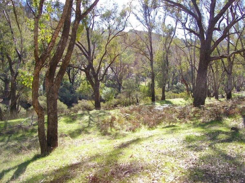 4 Balingup Road, Nannup WA 6275