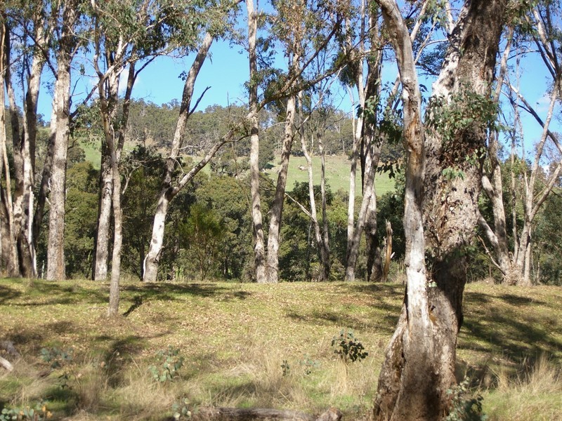 4 Balingup Road, Nannup WA 6275