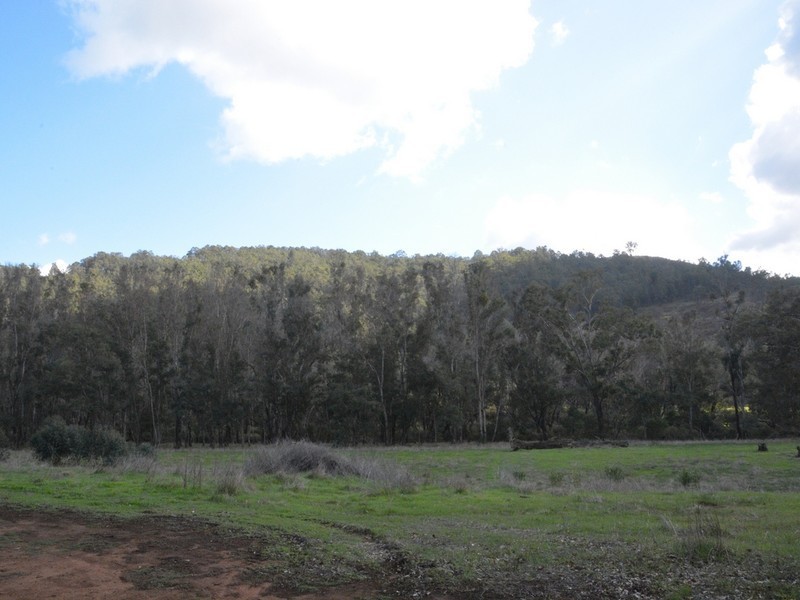 4 Balingup Road, Nannup WA 6275