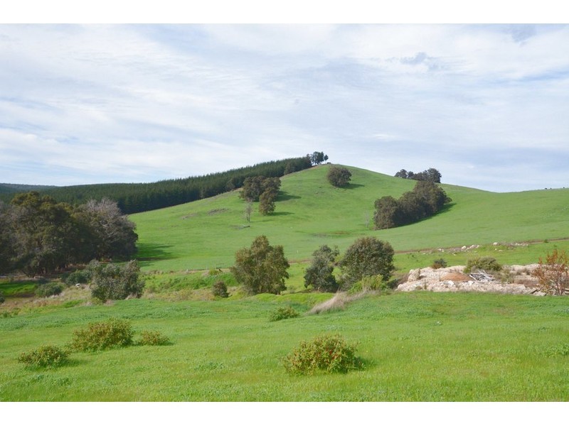 236 Diggers Green, Nannup WA 6275