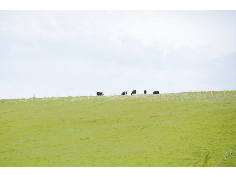 236 Diggers Green, Nannup WA 6275